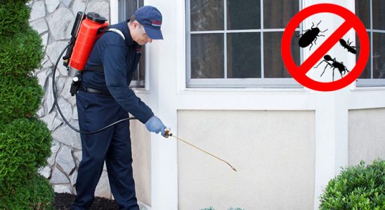 Göztepe Böcek ve Haşere İlaçlama böcek ilaçlama ve haşere kontrolü — ilaclama-tr.com